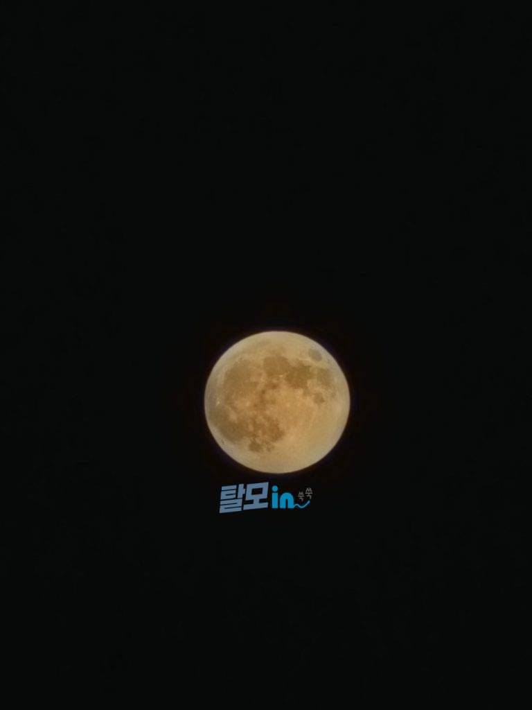 에프페시아 900정 photo review